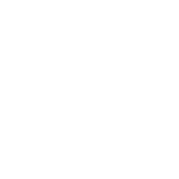 CrossFit Box Speyer